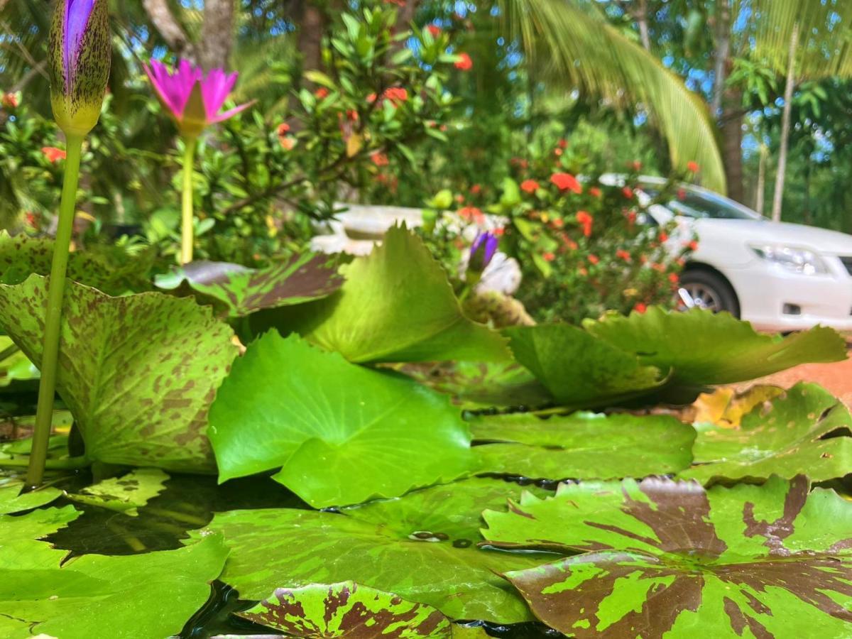 Grand Refuge Bird View Lake Jogging Foods Bikes Tuk Tuk & Free City Tour Guidence أنرادابورام المظهر الخارجي الصورة