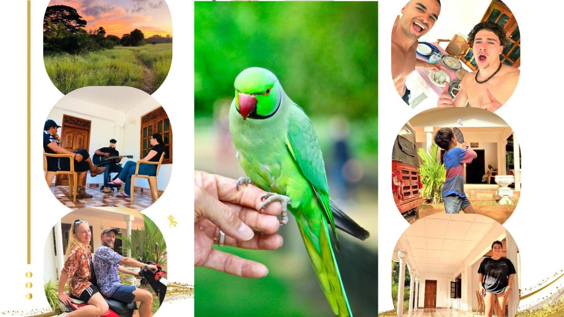 Grand Refuge Bird View Lake Jogging Foods Bikes Tuk Tuk & Free City Tour Guidence أنرادابورام المظهر الخارجي الصورة